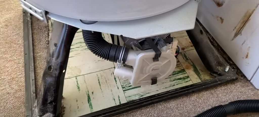 Washer Leaking From Bottom? Here's What You Need to Know